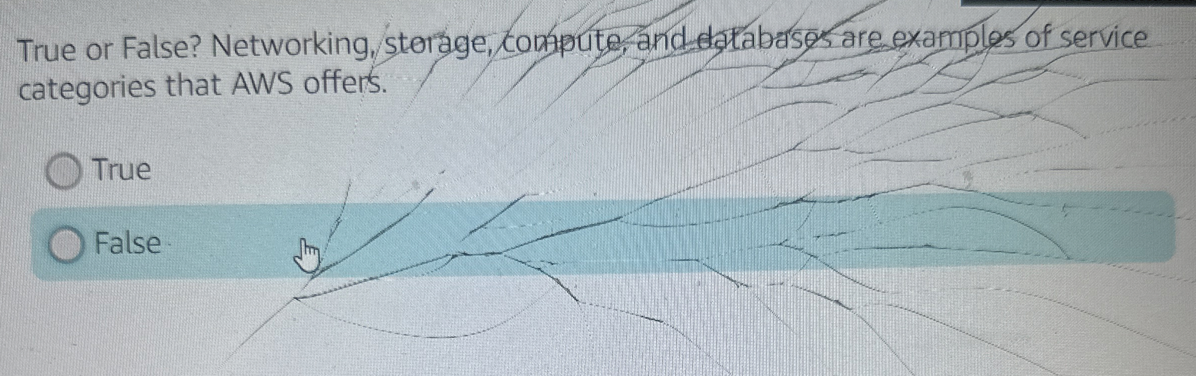 True or False? Networking, sterage, Kompute, and