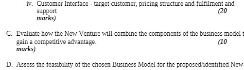iv. Customer Interface - target customer, pricing