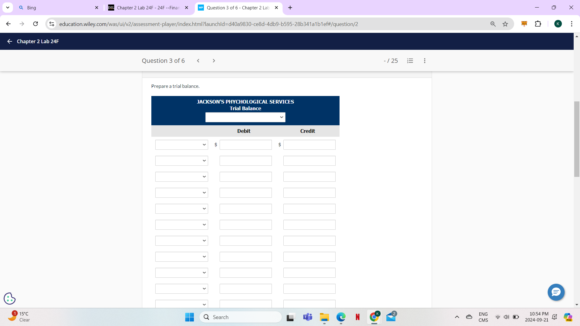 Q Bing X D2L Chapter 2 Lab 24F - 24F --Finan x WP