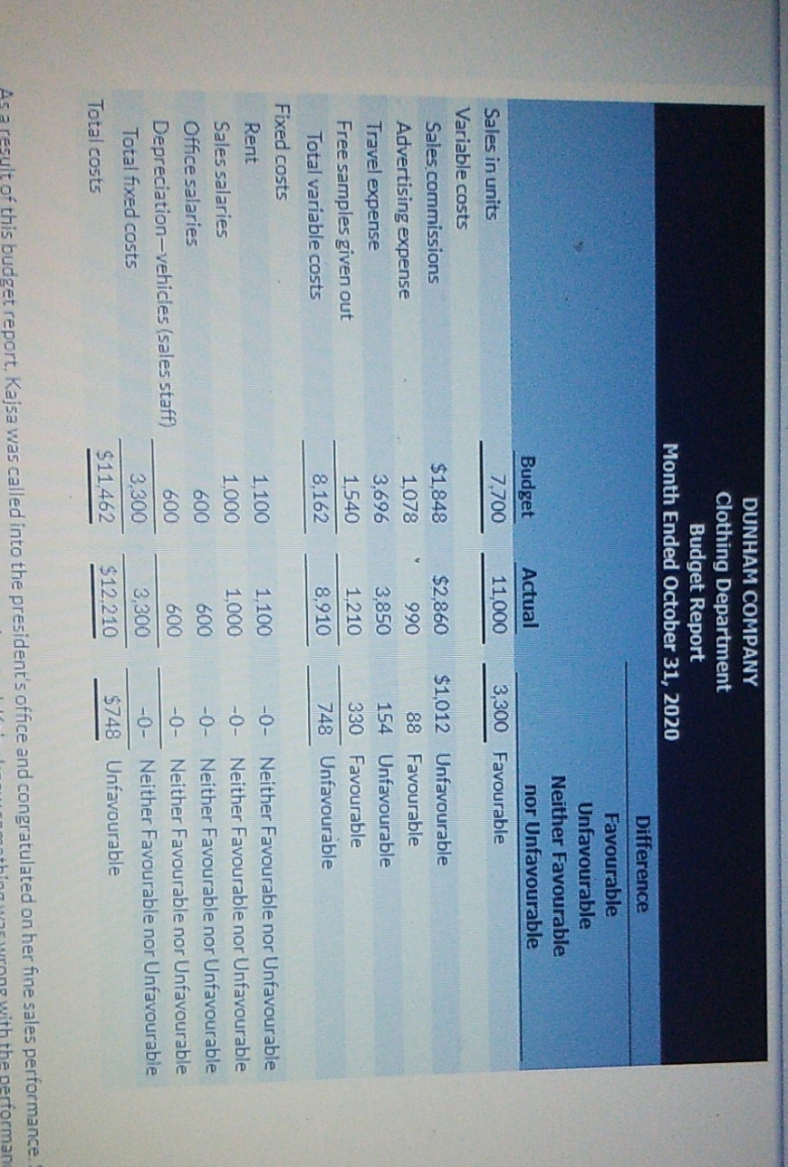 Prepare a budget report based the document below