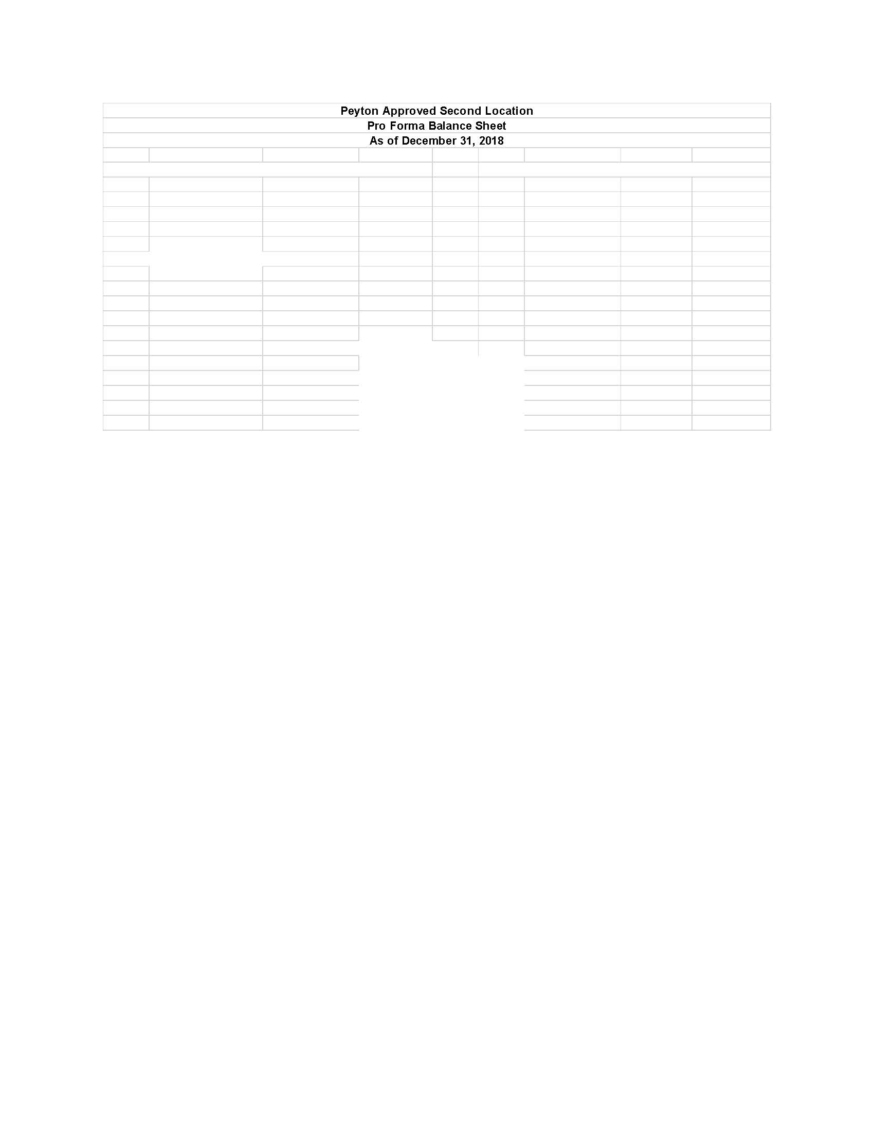 MILESTONE 2 PROFORMA SHEETS Peyton Approved