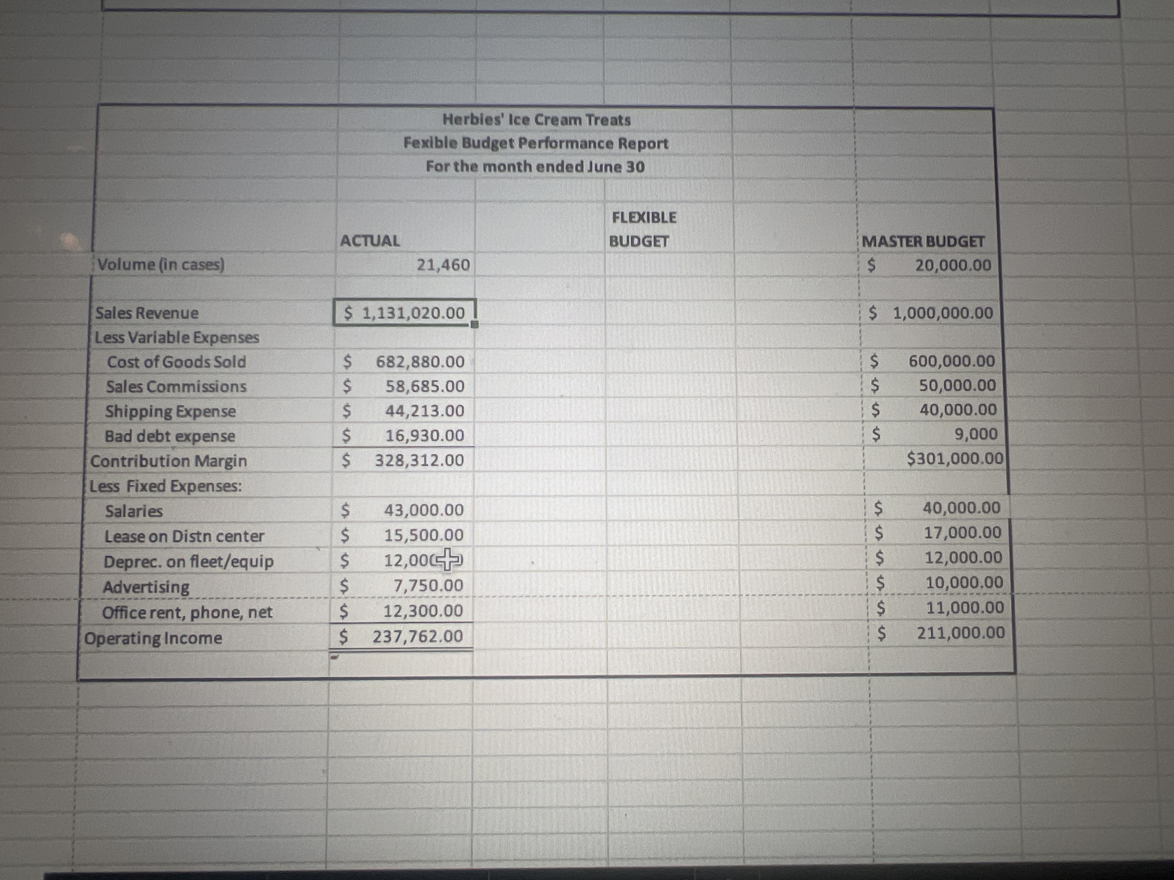 Help me with a flexible budget excel spreadsheet