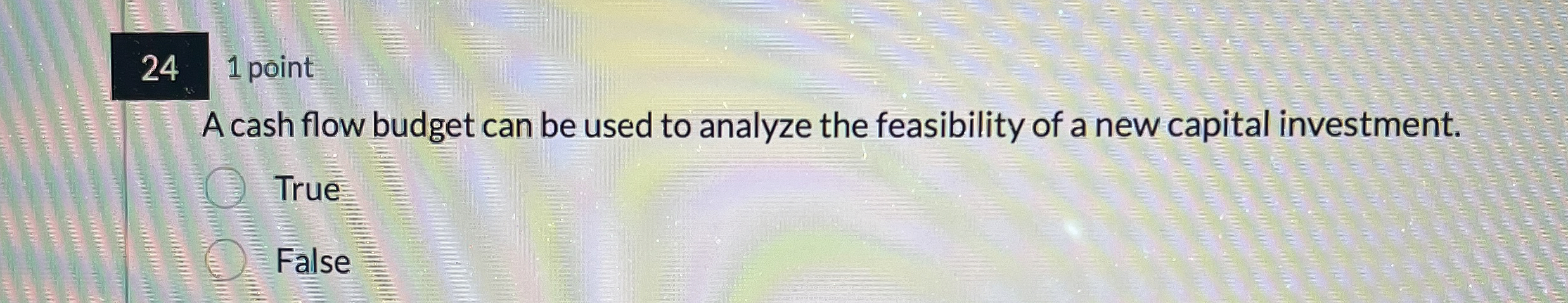 2 4 1 point A cash flow budget can be used to