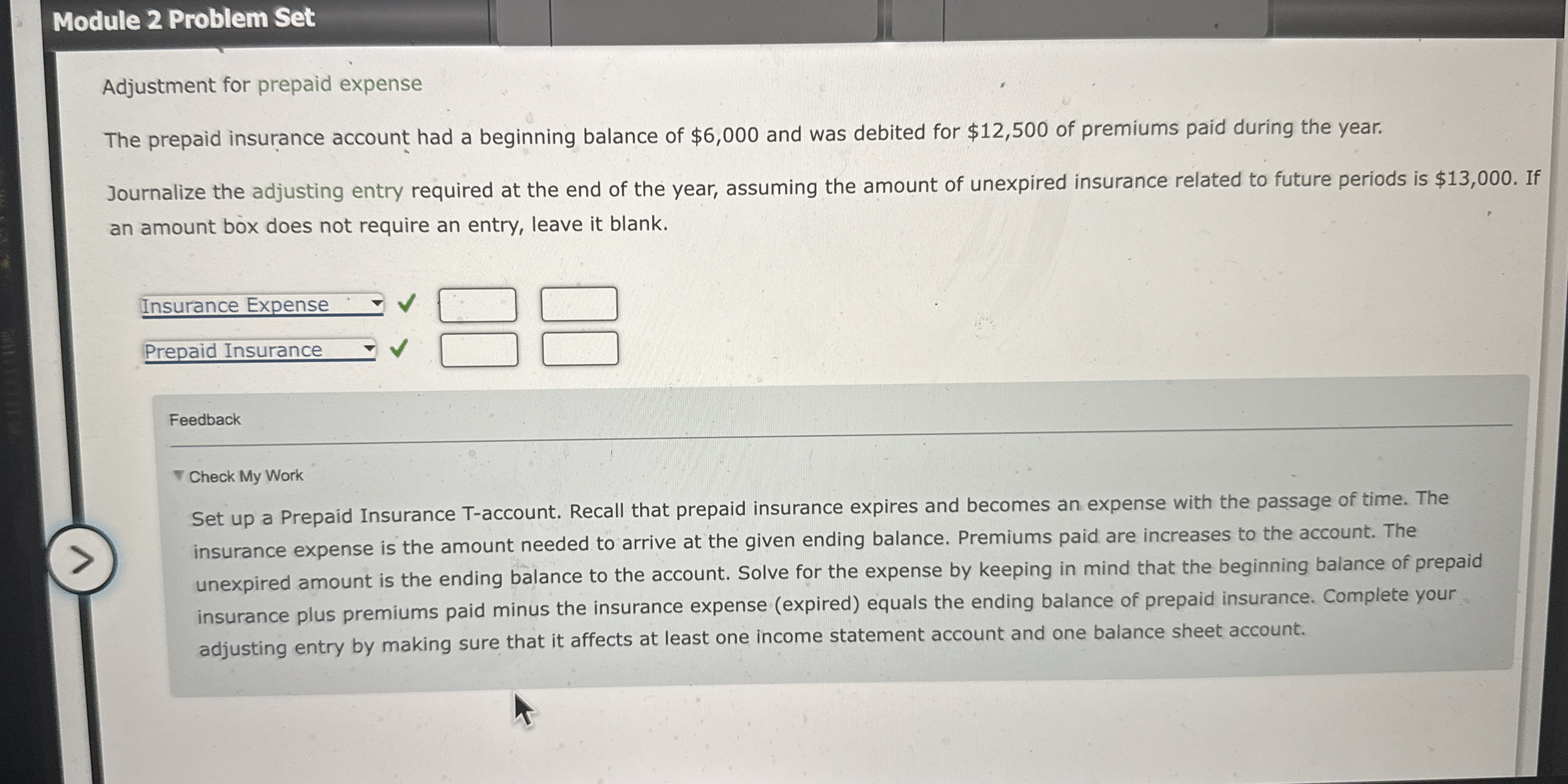 Module 2 Problem Set Adjustment for prepaid