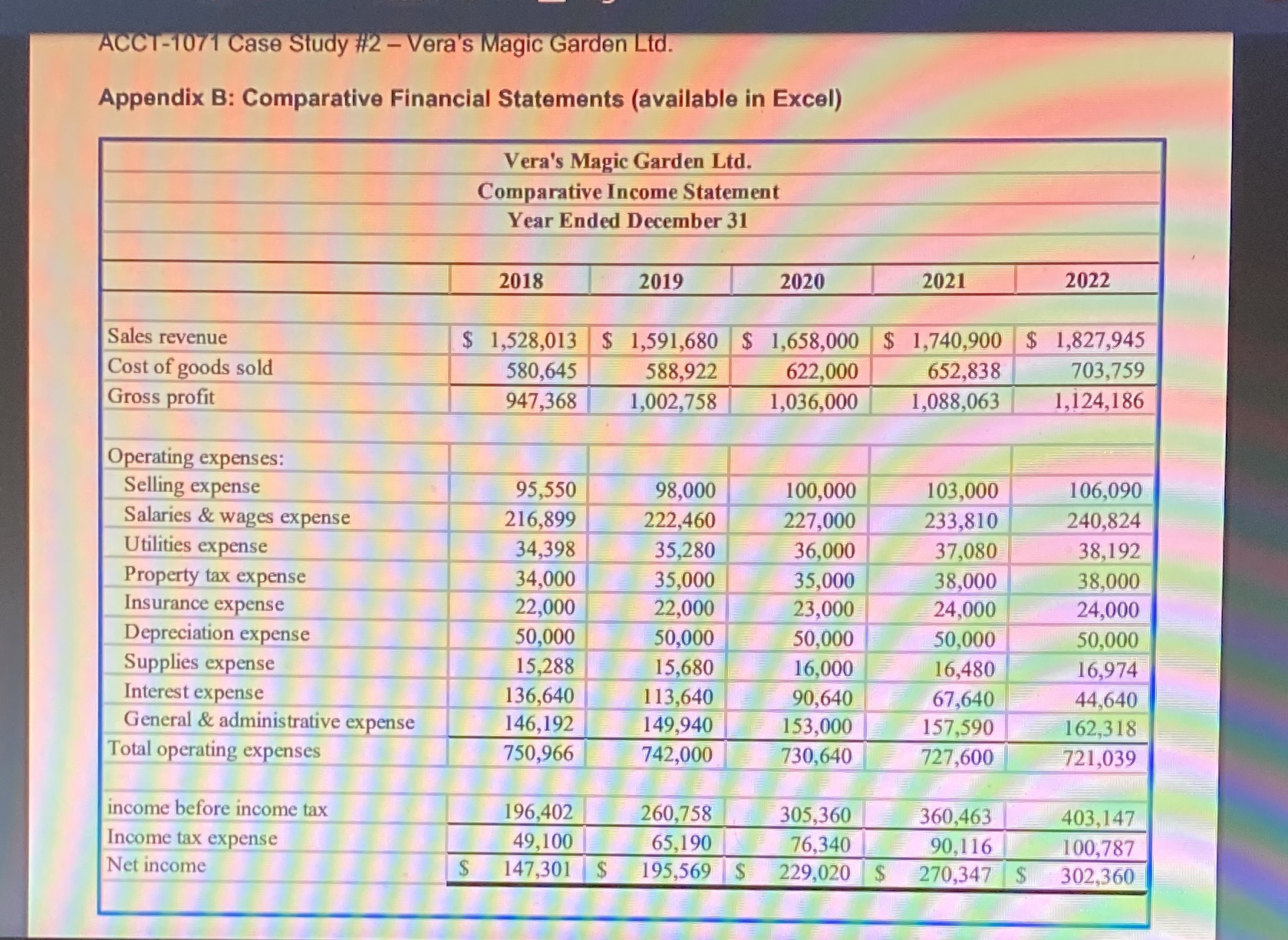 ACCT-1071 Case Study #2 - Vera's Magic Garden