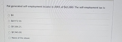 Pat generated self - employment income in 2 0 1