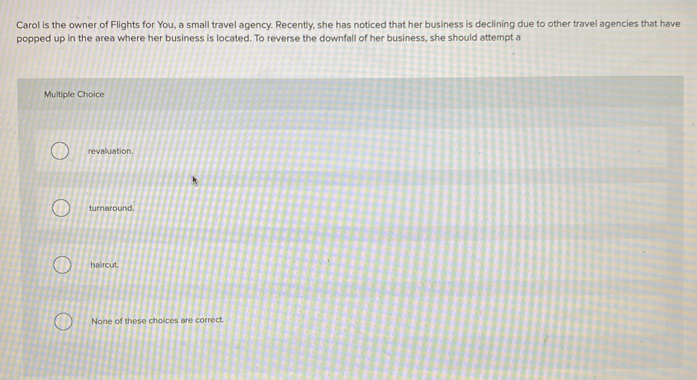 Carol is the owner of Flights for You, a small