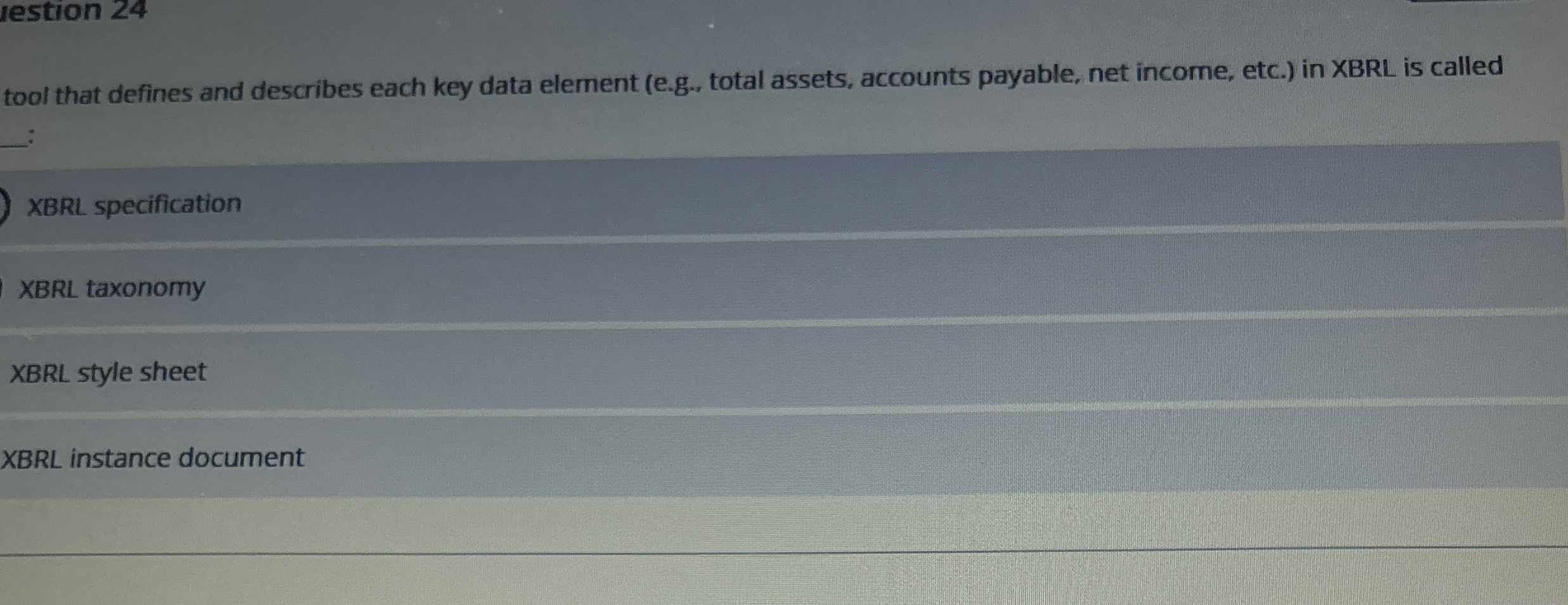 tool that defines and describes each key data