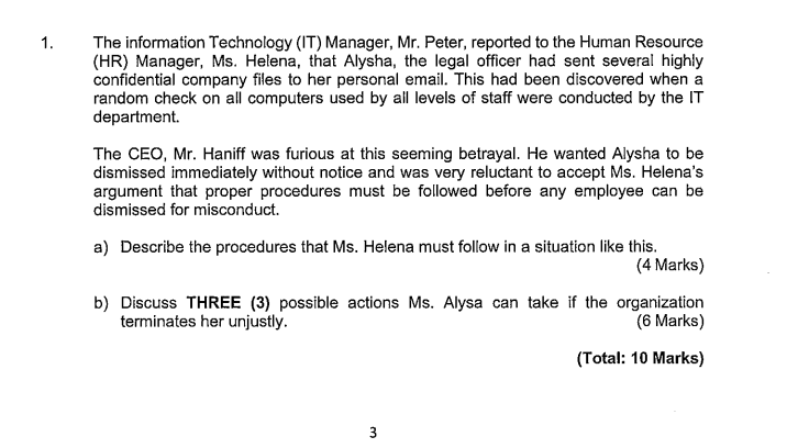 1. The information Technology (IT) Manager, Mr.