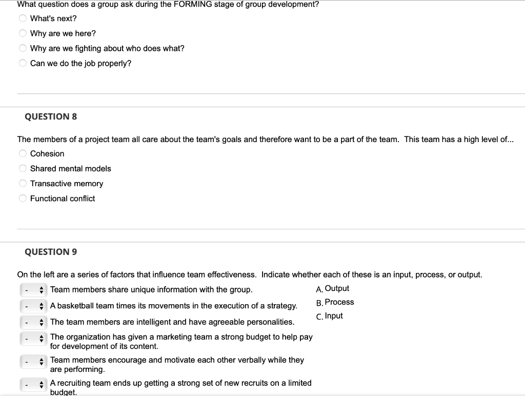 What question does a group ask during the FORMING