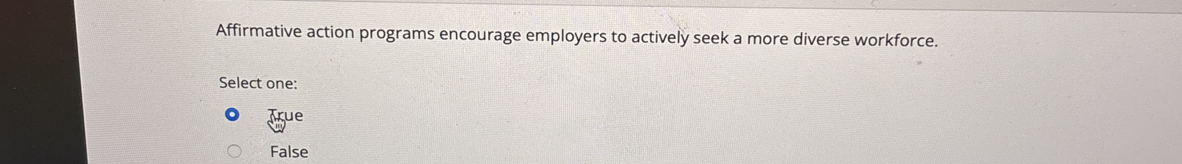 Affirmative action programs encourage employers