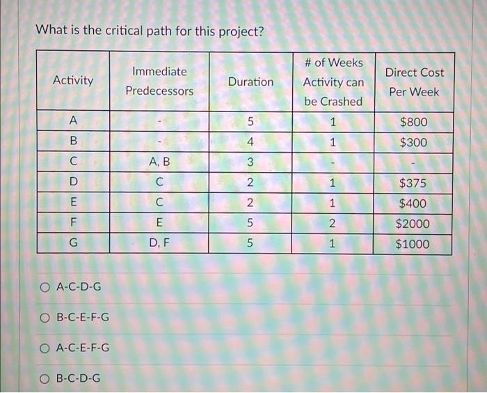 What is the critical path for this project?