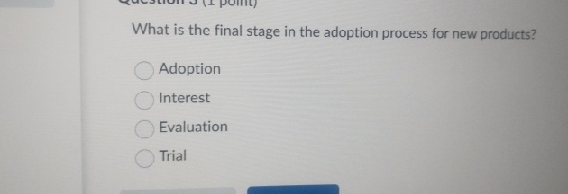 What is the final stage in the adoption process