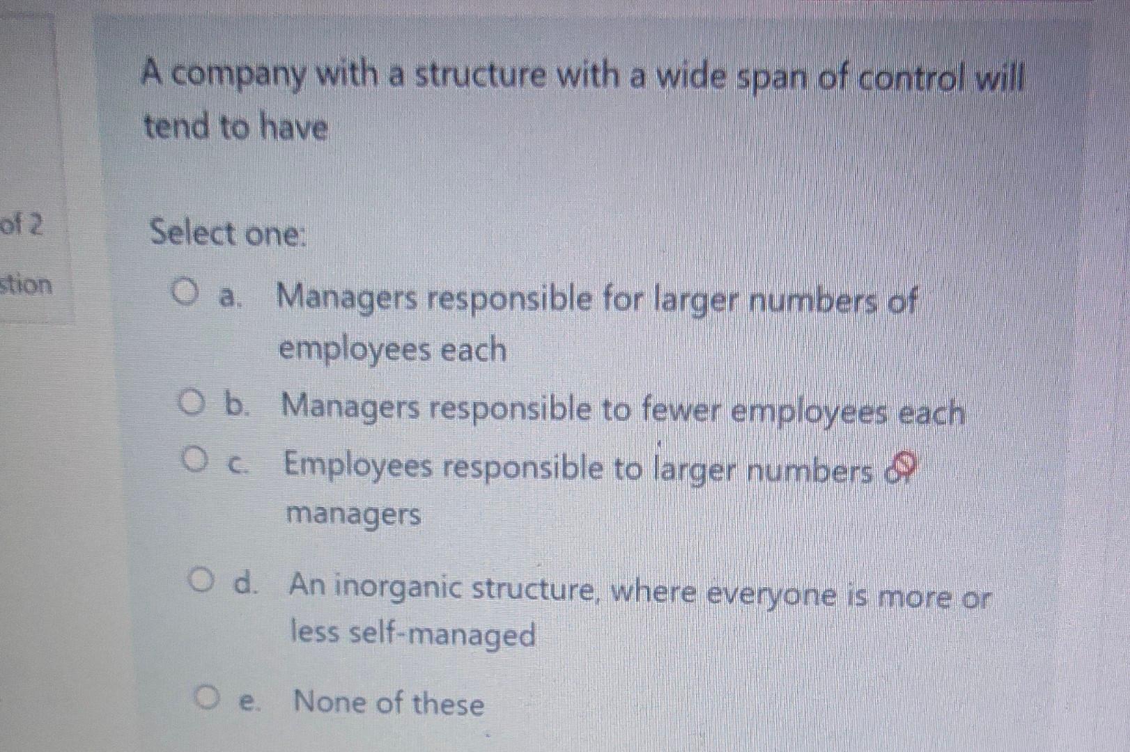 a A company with a structure with a wide span of