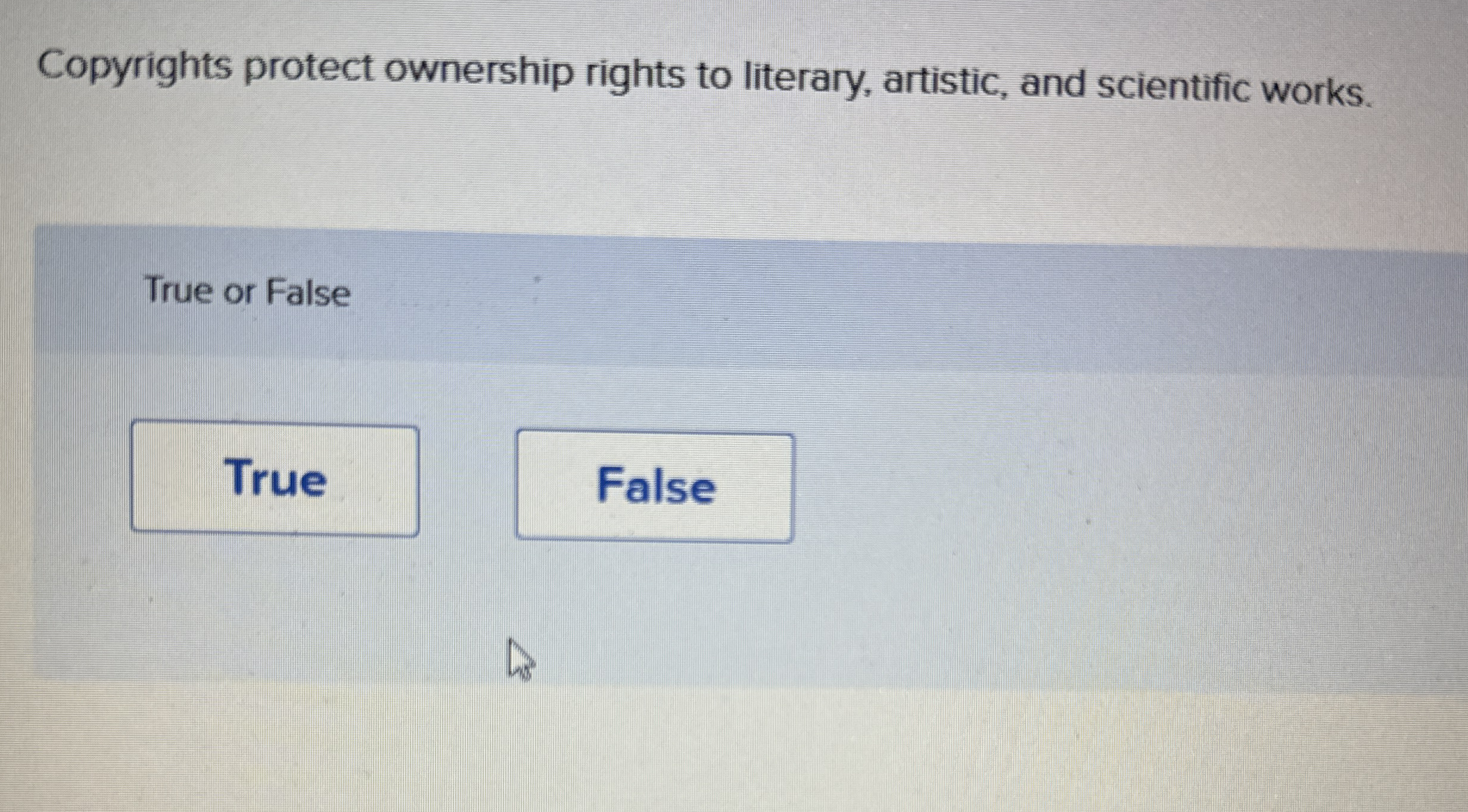Copyrights protect ownership rights to literary,