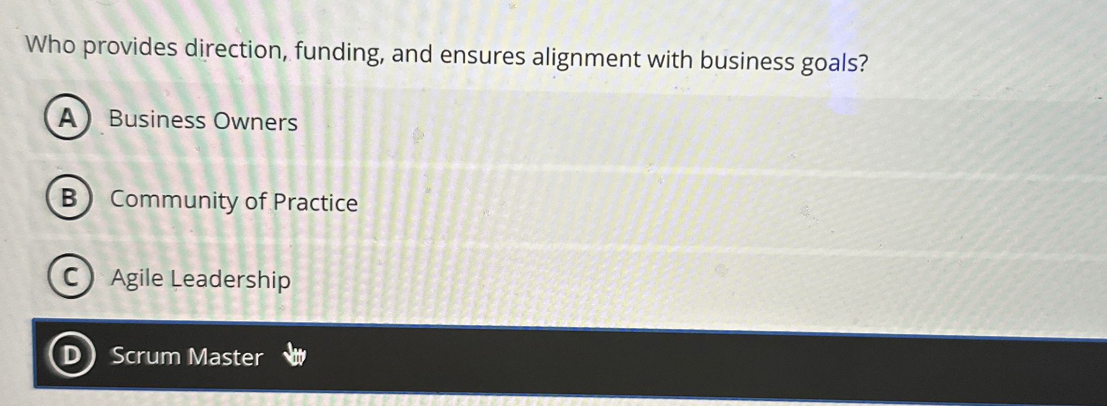 Who provides direction, funding, and ensures