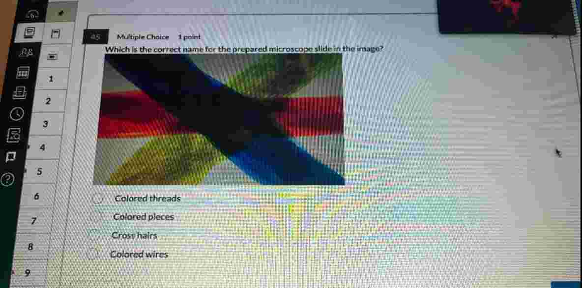 4 6 Multiple Choice 1 point Which is the correct