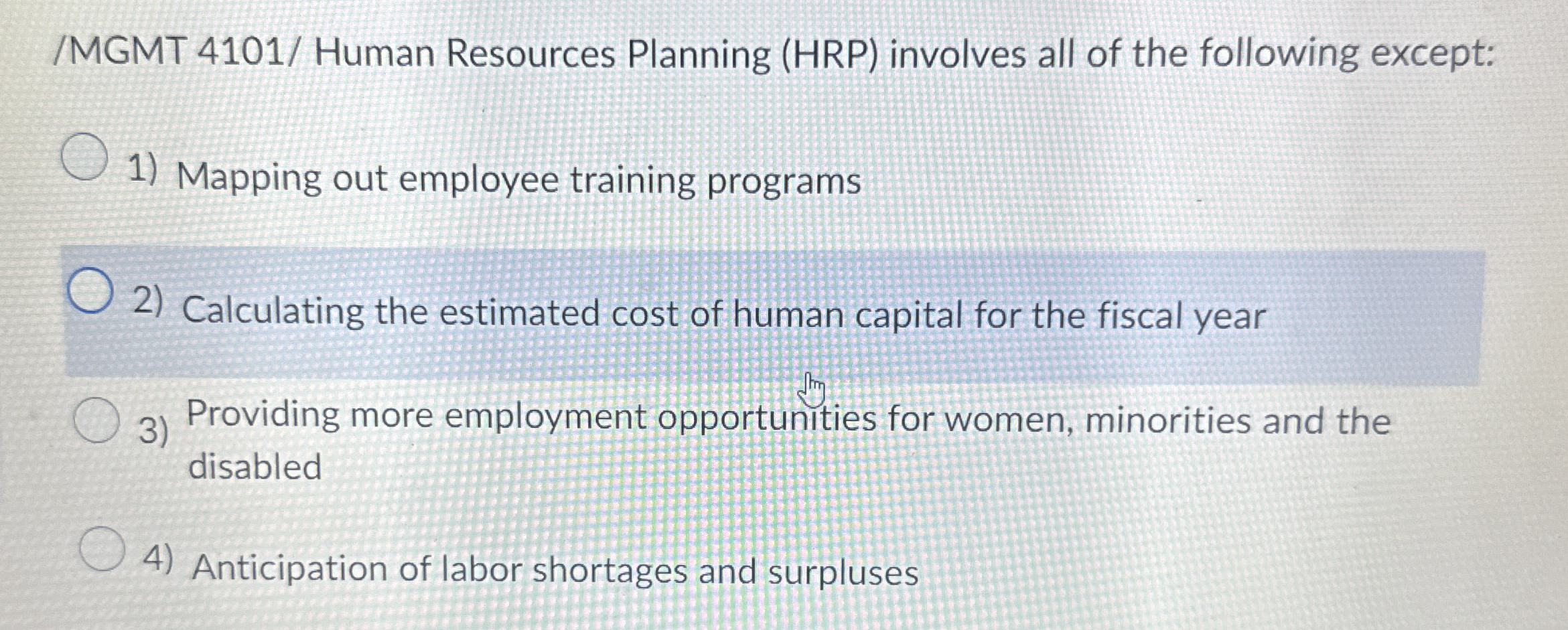 / MGMT 4 1 0 1 / Human Resources Planning ( HRP )