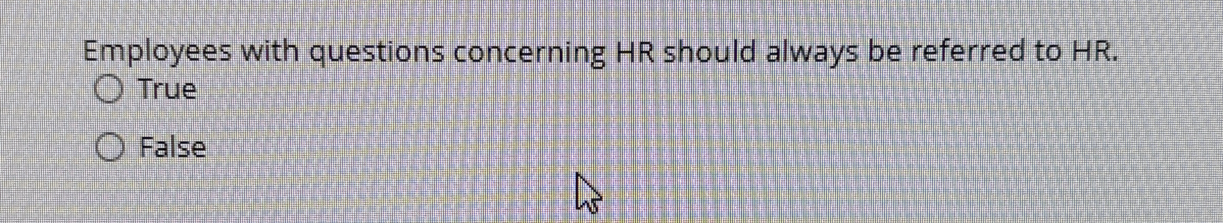 Employees with questions concerning HR should