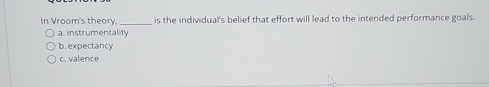 In Vroom's theory, is the individual's belief