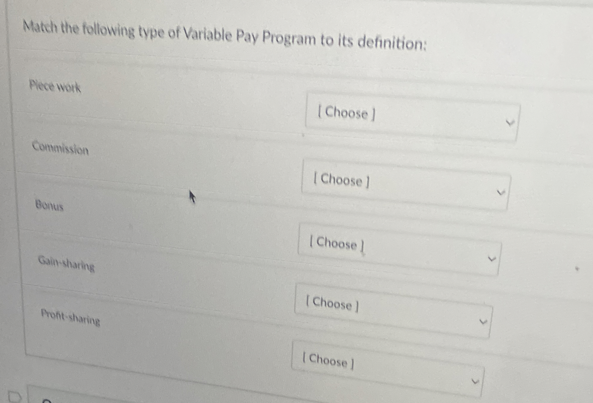 Match the following type of Variable Pay Program