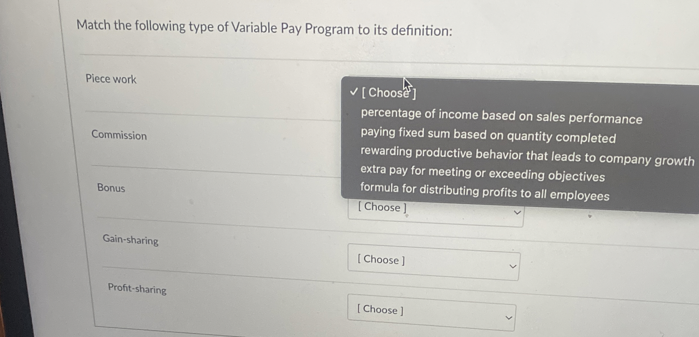 Match the following type of Variable Pay Program