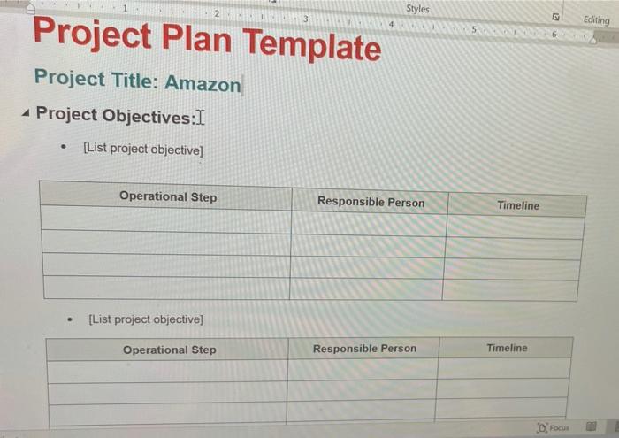 2 Styles 3 9 Editing Project Plan Template
