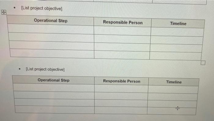 2 Styles 3 9 Editing Project Plan Template