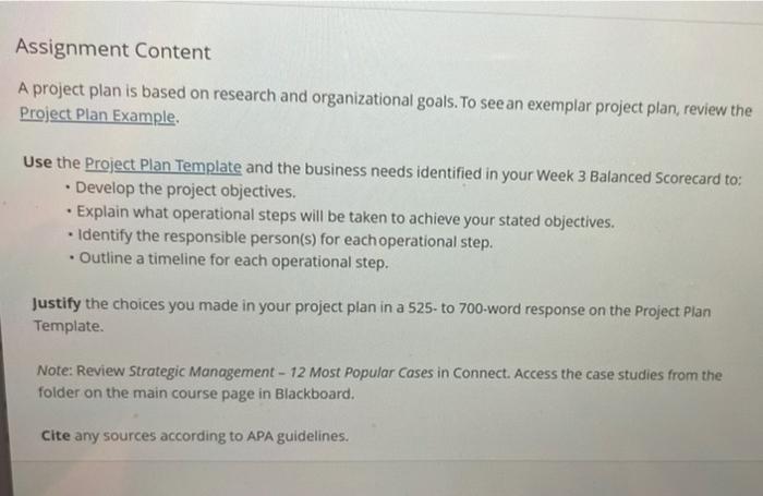 2 Styles 3 9 Editing Project Plan Template