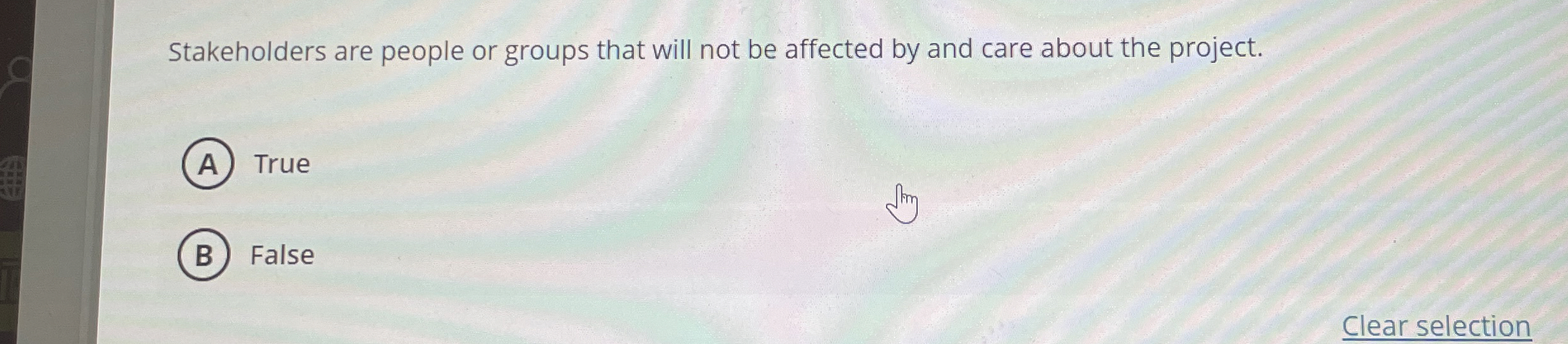 Stakeholders are people or groups that will not