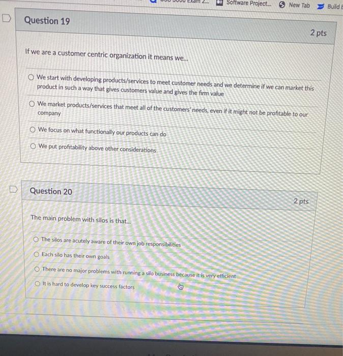Software Project. New Tab Build E D Question 19 2