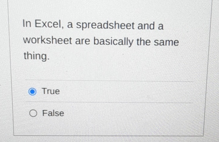 In Excel, a spreadsheet and a worksheet are