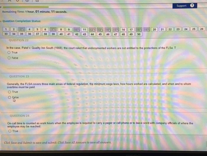 Support Remaining Time: 1 hour, 01 minute, 11