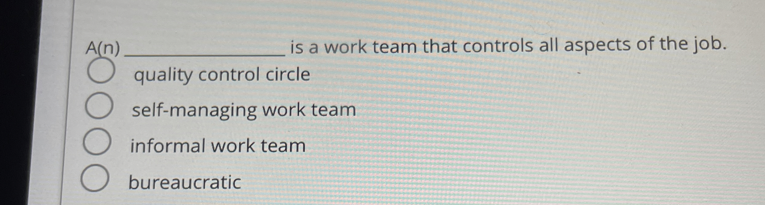 A ( n ) is a work team that controls all aspects