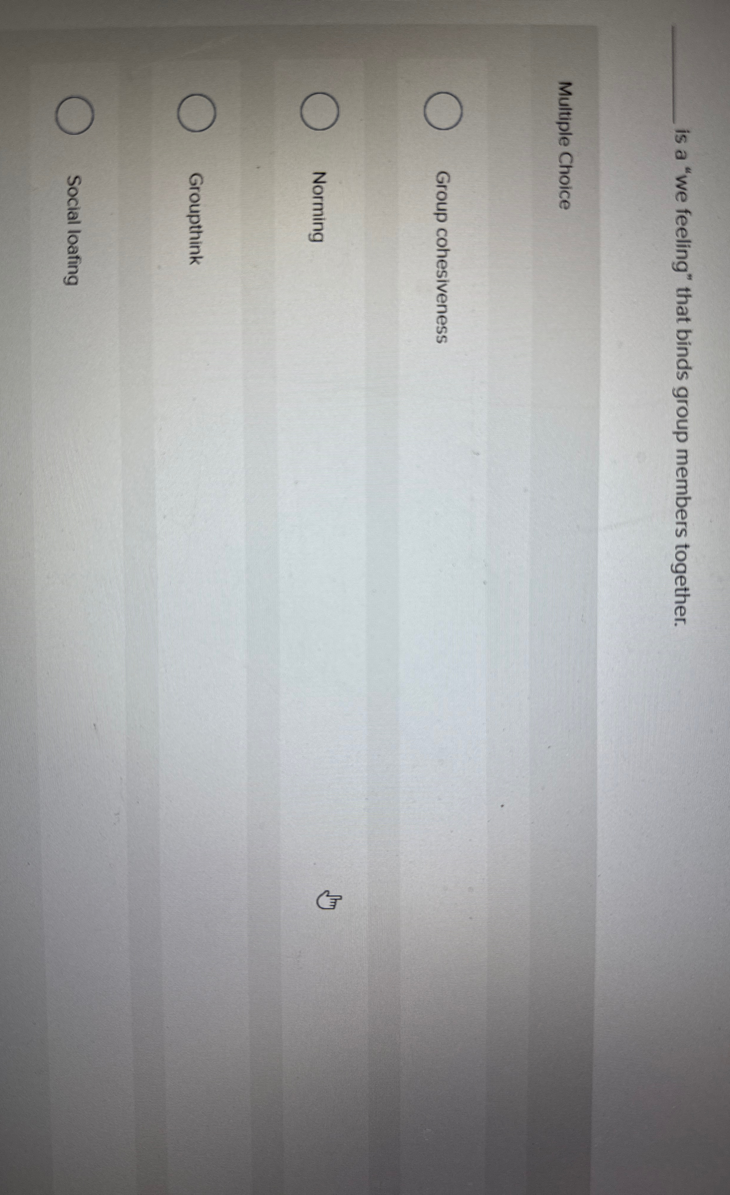 is a " we feeling" that binds group members