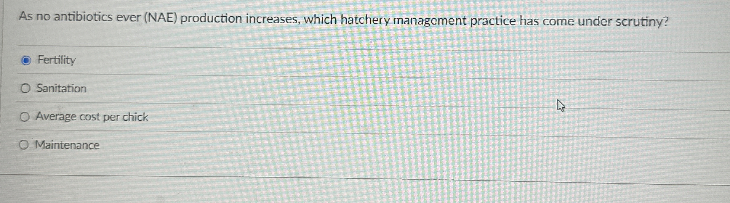 As no antibiotics ever ( NAE ) production