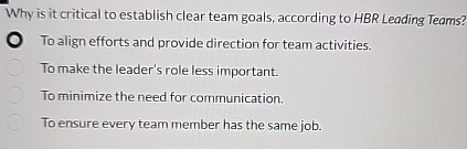 Why is it critical to establish clear team goals,