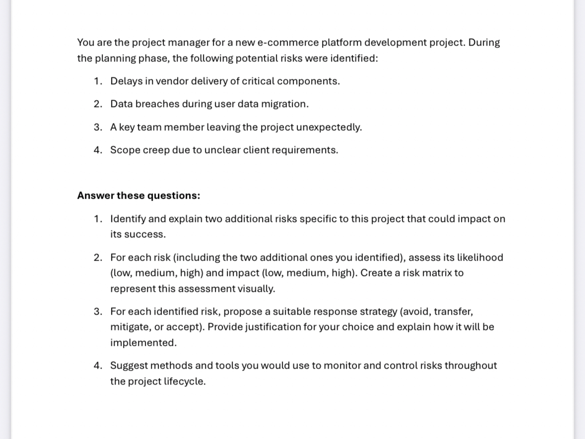 You are the project manager for a new e -