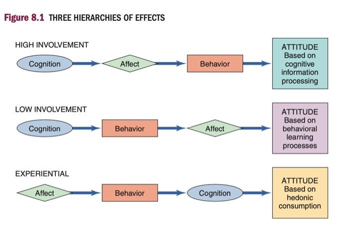 By using this graph write a paragraph about your