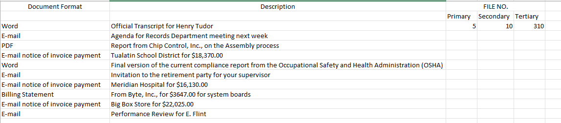 Document Format Description FILE NO Primary