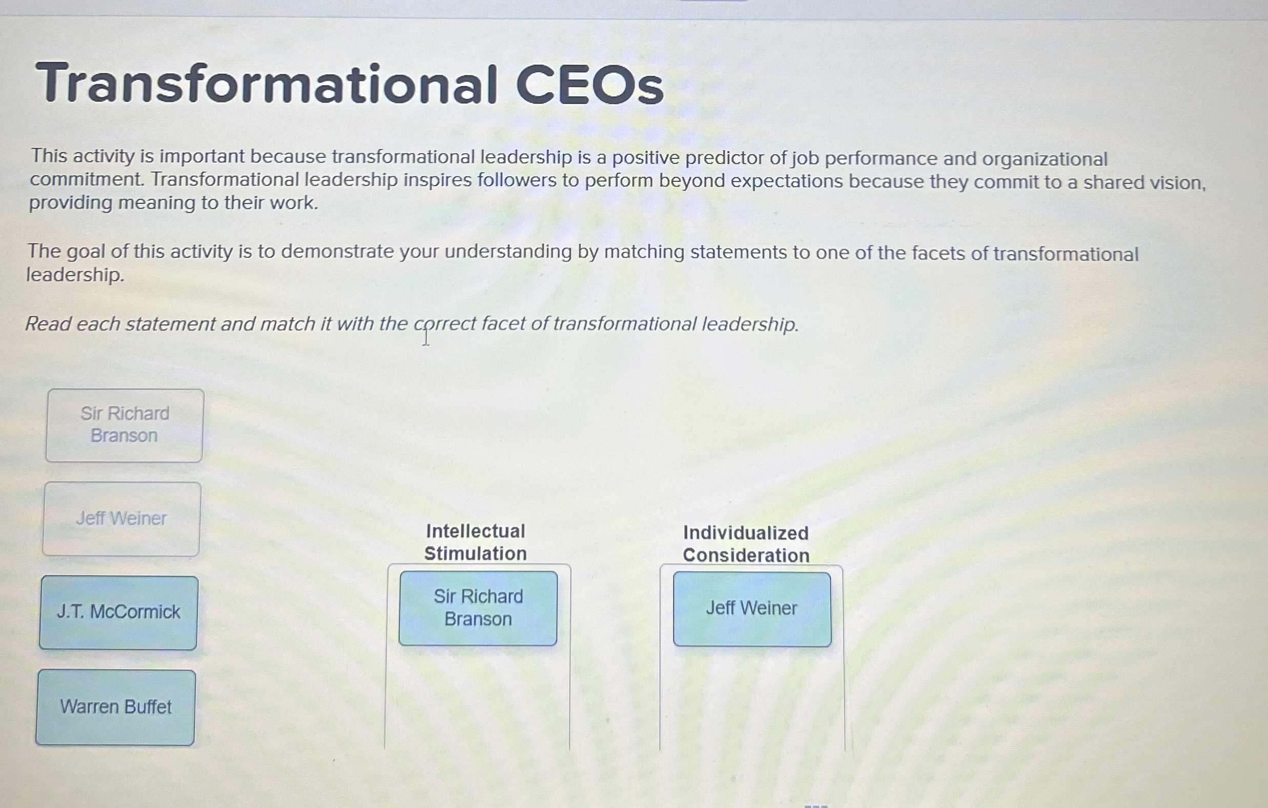 Transformational ceOs This activity is important