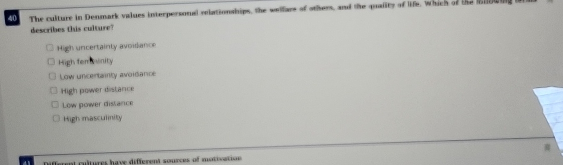 4 0 describes this culture? High uncertainty