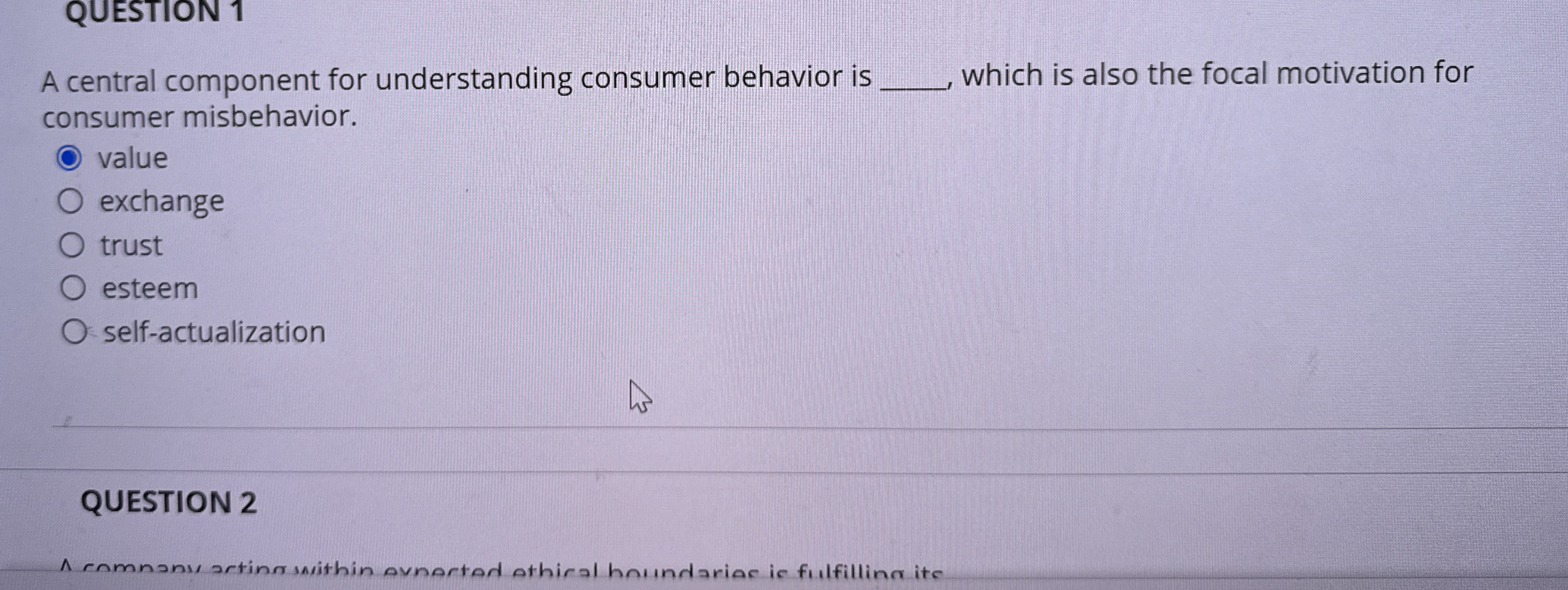 A central component for understanding consumer