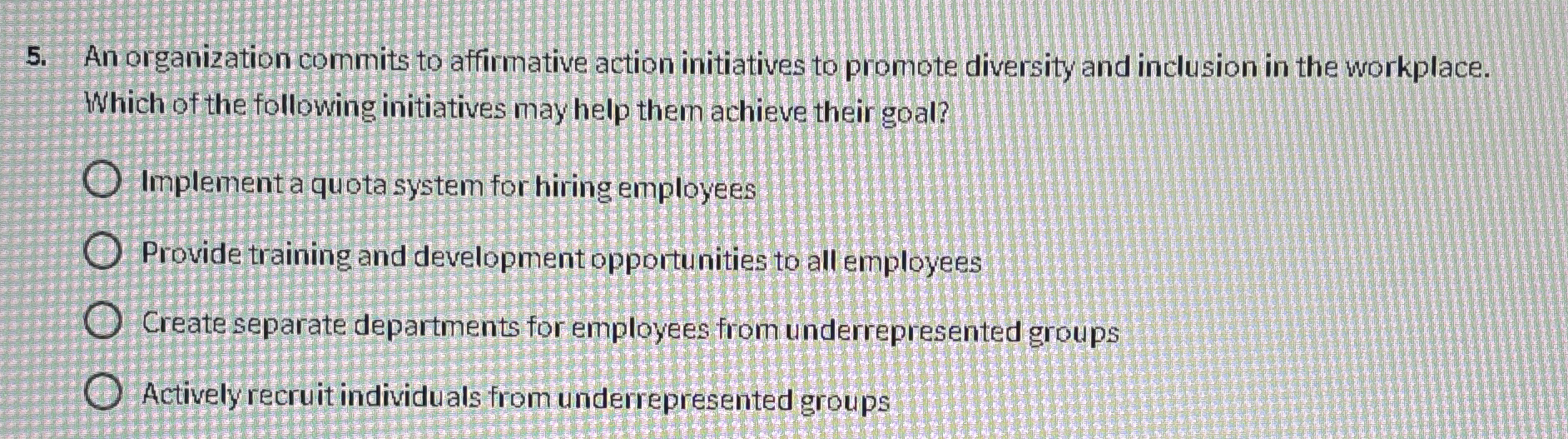 An organization commits to affirmative action