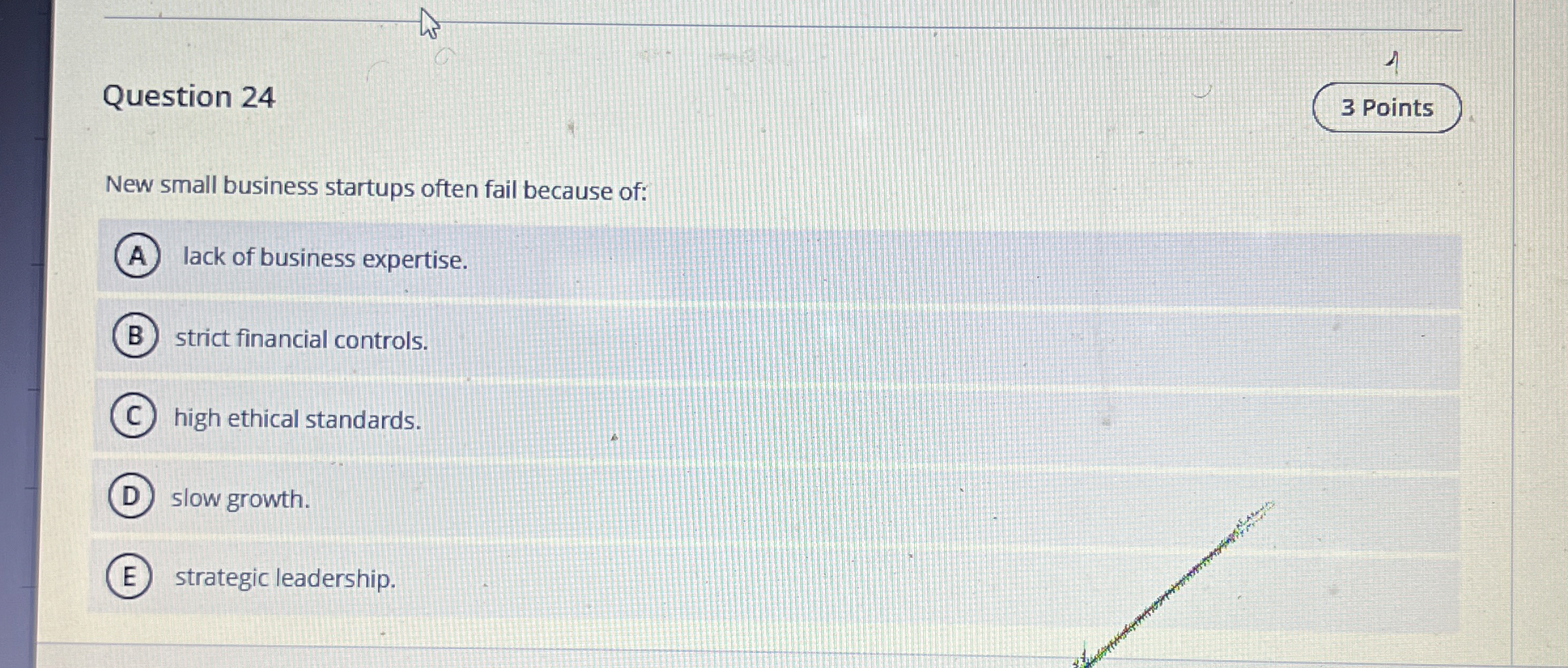 Question 2 4 New small business startups often