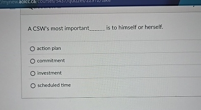 A CSW ' s most important q , is to himself or