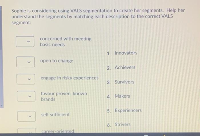 Sophie is considering using VALS segmentation to