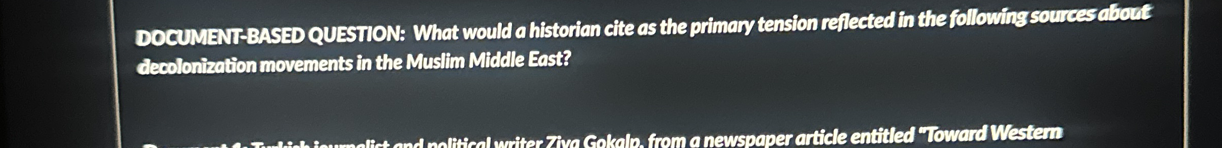 DOCUMENT BASED QUESTION: What would a historian