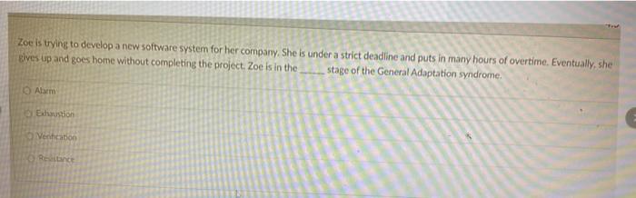 Zoe is trying to develop a new software system