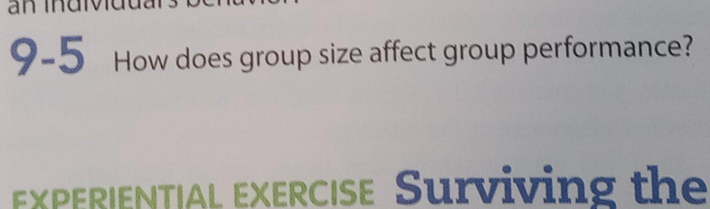 9-5 How does group size affect group performance?